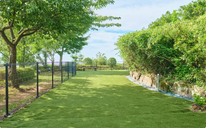 ドッグランの様子