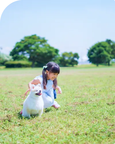 おすすめモデルコースのイメージ画像