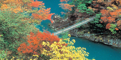 Yume no Tsuribashi Suspension Bridge (Dream Suspension Bridge)